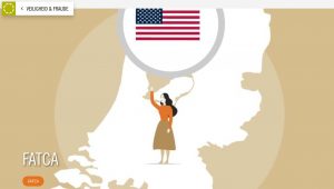 accidental american
