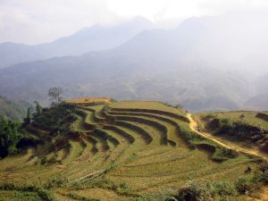 Accords avec le Vietnam : pour les droits humains, pour le climat, c’est non !